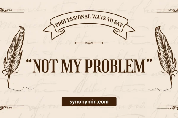 professional ways to say not my problem
