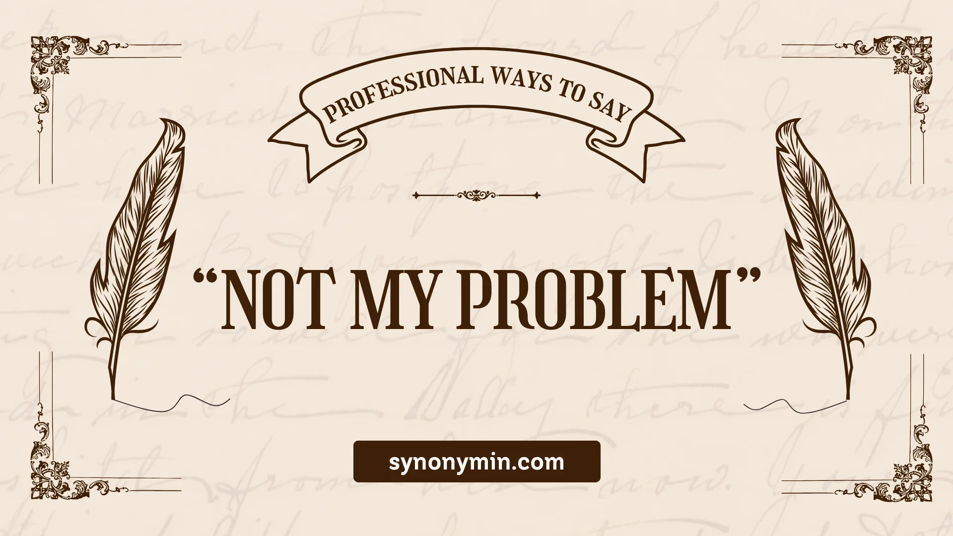 professional ways to say not my problem