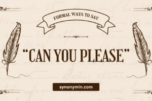 formal ways to say can you please