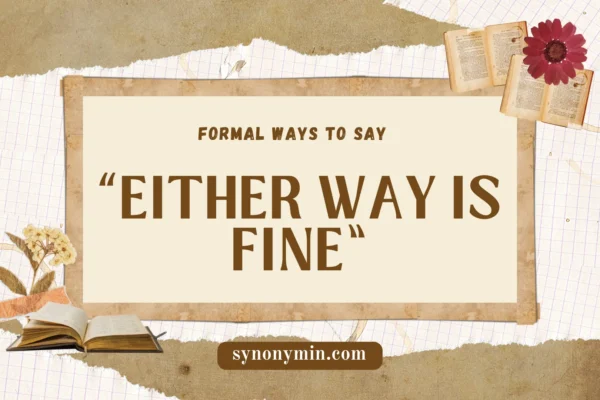 formal ways to say either way is fine