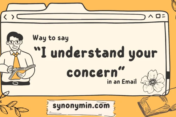 ways to say i understand your concern in an email